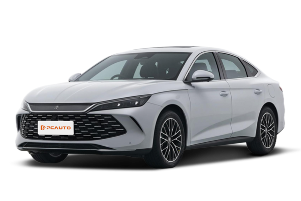 BYD QIN L