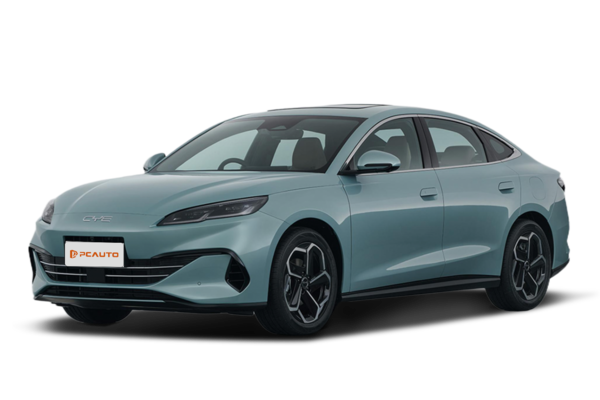 BYD SEALEOPARD 06